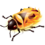 firebug-64x64.png