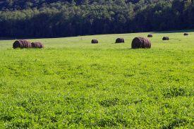 Field with Haystacks